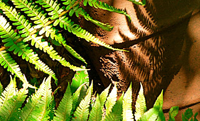 ddos攻击在哪能买到